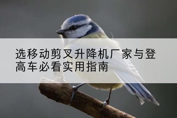 康保电动升降机厂家-选移动剪叉升降机厂家与登高车必看实用指南