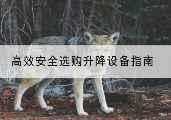康保升降货梯厂家推荐-*安全选购升降设备指南