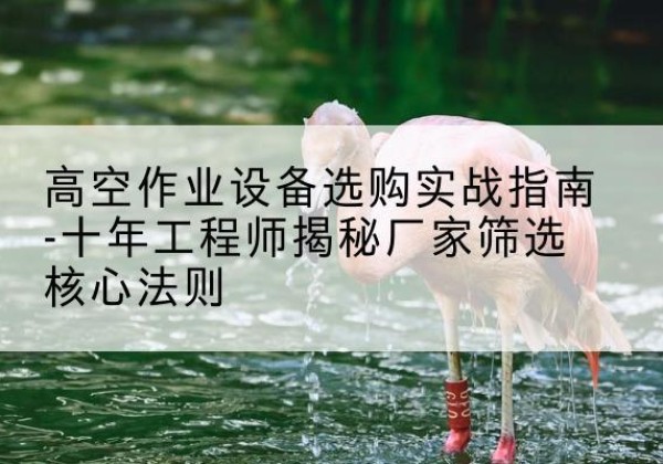 康保剪叉式升降机厂家-高空作业设备选购实战指南-十年工程师揭秘厂家筛选核心法则